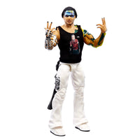 IN STOCK! WWE Ultimate Edition Wave 14 Jeff Hardy Action Figure