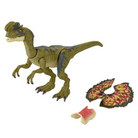 
              (PRE-ORDER October 2022) Jurassic World Hammond Collection Dilophosaurus Action Figure
            