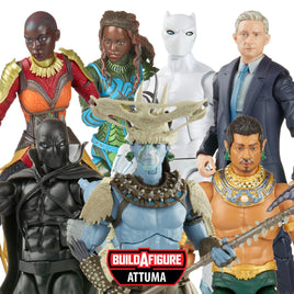 IN STOCK! Set of 6 figures. Black Panther Wakanda Forever Marvel Legends 6-Inch Action Figures Wave 1