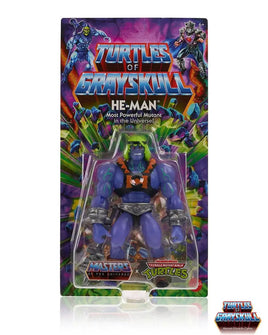 IN STOCK! M.O.T.U ORIGINS TURTLES OF GRAYSKULL HE-MAN