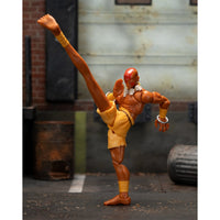 
              IN STOCK! Ultra Street Fighter II Dhalsim 6-Inch Scale Action Figure
            