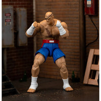 
              IN STOCK! Ultra Street Fighter II Sagat 6-Inch Scale Deluxe Action Figure
            