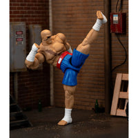 
              IN STOCK! Ultra Street Fighter II Sagat 6-Inch Scale Deluxe Action Figure
            