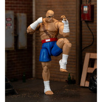 
              IN STOCK! Ultra Street Fighter II Sagat 6-Inch Scale Deluxe Action Figure
            