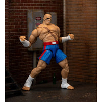 
              IN STOCK! Ultra Street Fighter II Sagat 6-Inch Scale Deluxe Action Figure
            