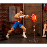 
              IN STOCK! Ultra Street Fighter II Sagat 6-Inch Scale Deluxe Action Figure
            