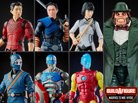 
              IN STOCK! Shang-Chi Marvel Legends (Wave 1) Set of 6 Figures (Marvel's Mr. Hyde BAF)
            