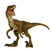 
              IN STOCK! Jurassic Park Hammond Collection Velociraptor Action Figure
            