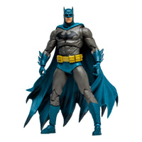 
              (PRE-ORDER) DC Multiverse Batman: Hush 7-Inch Scale Action Figure
            